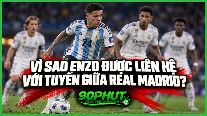 Vì sao Enzo được liên hệ với tuyến giữa Real Madrid Vì sao Enzo được liên hệ với tuyến giữa Real Madrid